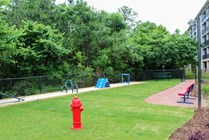 IMG_6770