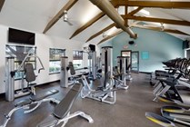 Updated Gym With Free Weights and Cardio Equipment