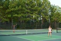 Photo #14