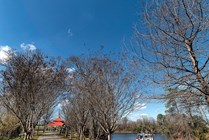 Riverfront-Village-Apartments-Near-University-of-Alabama-Outdoor-Trail