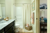 Photo #11