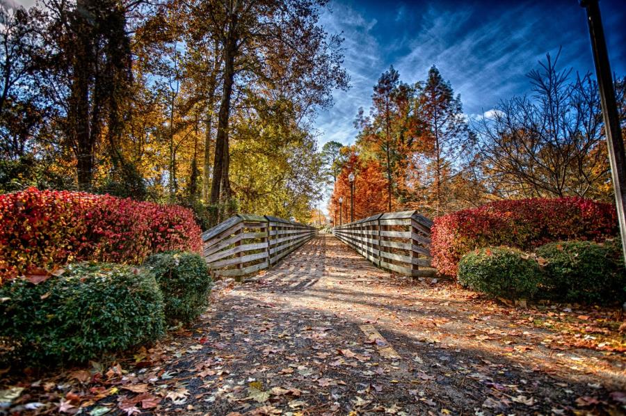 River Walk Tuscaloosa