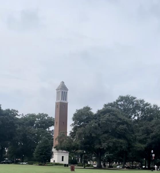 Picture of Denny Chimes 